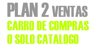 PLAN 2 VENTAS 12